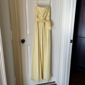 BCBG Max Azria floor-length silk dress (size 10)